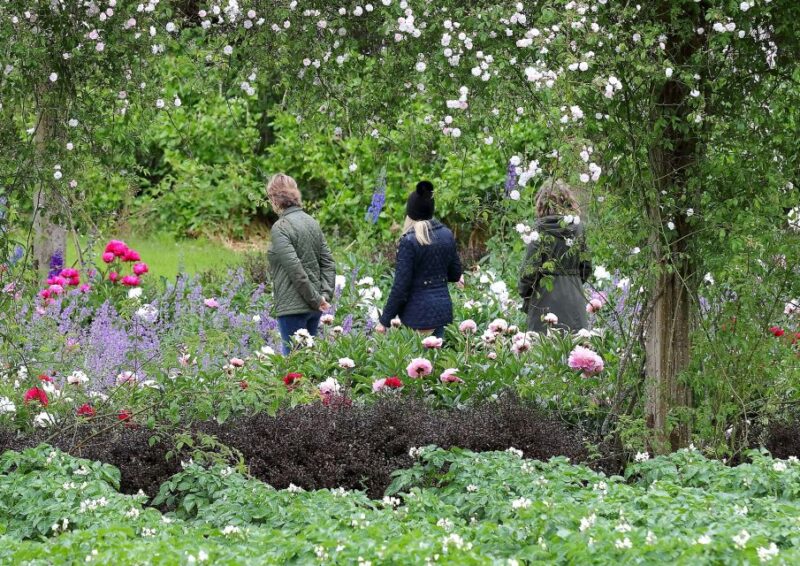 Waterford: Mount Congreve Gardens Entry Ticket - Dining and Private Events