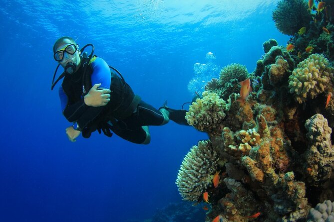 Watersports Activities, Fishing and Scuba Diving in Falmouth - About Simpsons Watersports