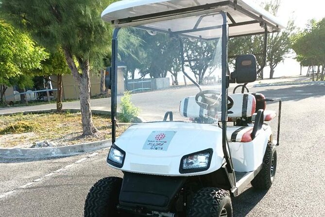 Watkins UTV American Golf Cart Rentals - Customer Reviews Breakdown