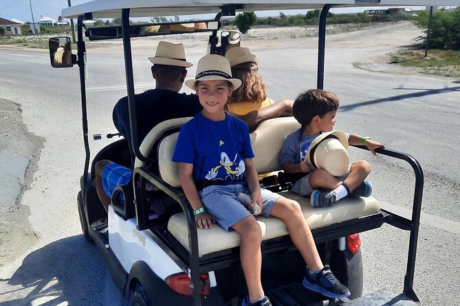 Watkins UTV American Golf Cart Rentals - Alternative Rental Considerations