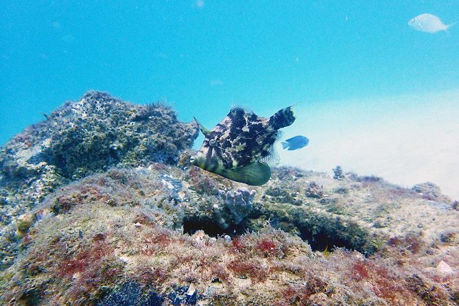 Wave Break Island Scuba Diving on the Gold Coast - Itinerary