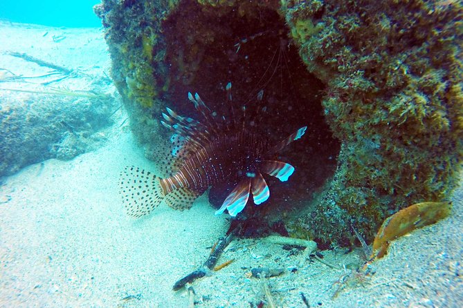 Wave Break Island Scuba Diving on the Gold Coast - Customer Experience