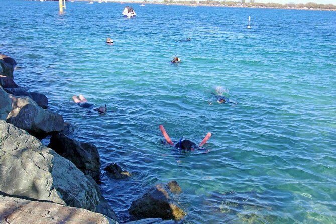 Wave Break Island Snorkel Tour on the Gold Coast - Final Thoughts