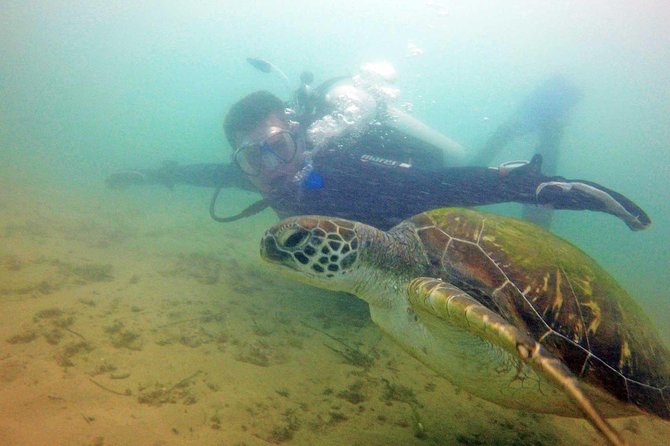Wave Break Island Snorkel Tour on the Gold Coast - Cancellation Policy