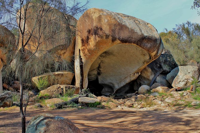 Wave Rock and Pinnacles Air & Ground Tour - What to Expect