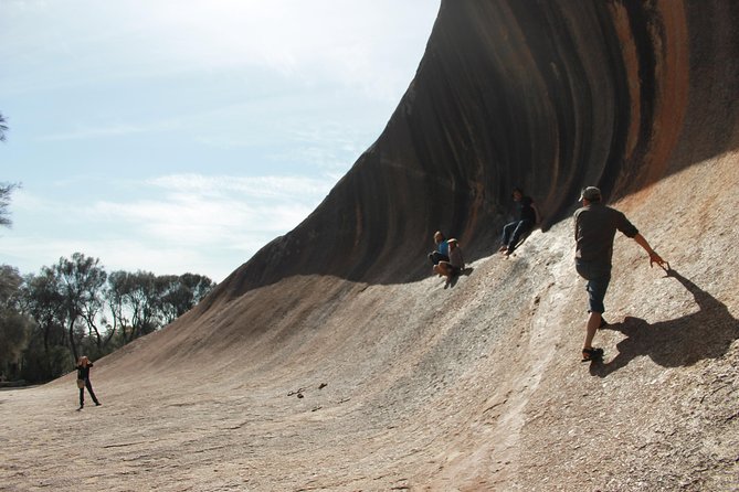 Wave Rock, Pinnacles and Rottnest One Day Aeroplane Tour - Inclusions and Accessibility