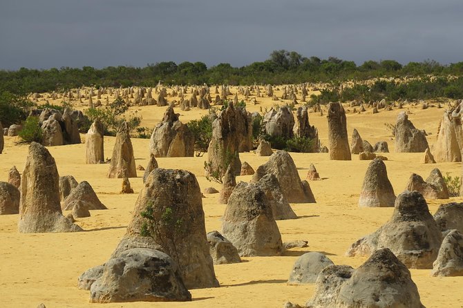 Wave Rock, Pinnacles and Rottnest One Day Aeroplane Tour - Exploring the Pinnacles