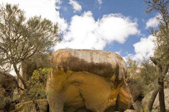 Wave Rock, York, Wildflowers, and Aboriginal Cultural Day Tour From Perth - Important Information