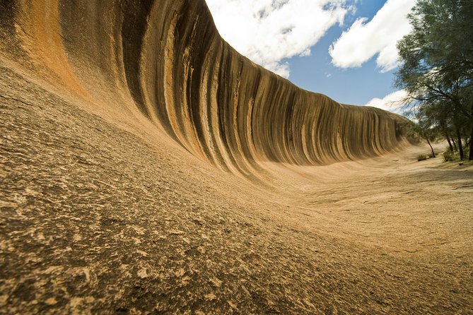 Wave Rock, York, Wildflowers, and Aboriginal Cultural Day Tour From Perth - Explore Yorks Pioneer History