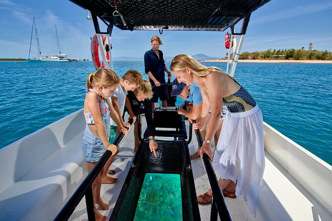 Wavedancer Low Isles Great Barrier Reef Sailing Cruise From Cairns - Highlights of the Experience
