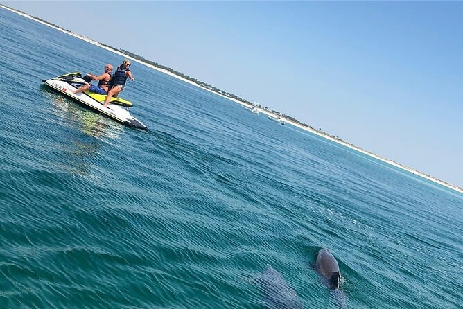 Waverunner Dolphin Tour - Guides Expertise