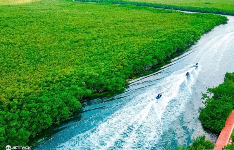 Waverunner Mangrove Guided Tour Jetpack Adventures - Reservation Process
