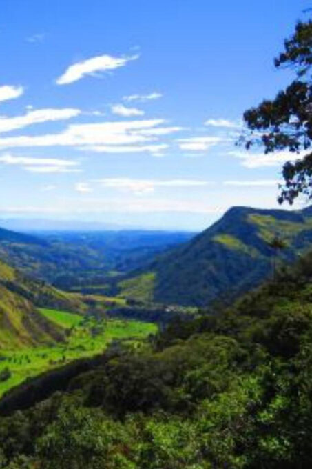 Wax Palms, Salento and Coffee Private Full Day Tour - Inclusions and Exclusions