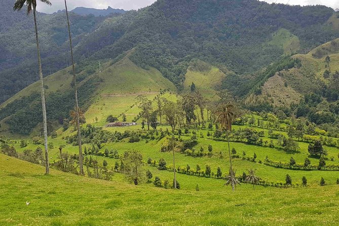 Wax Palms, Salento and Coffee Private Full Day Tour - Transportation and Pickup