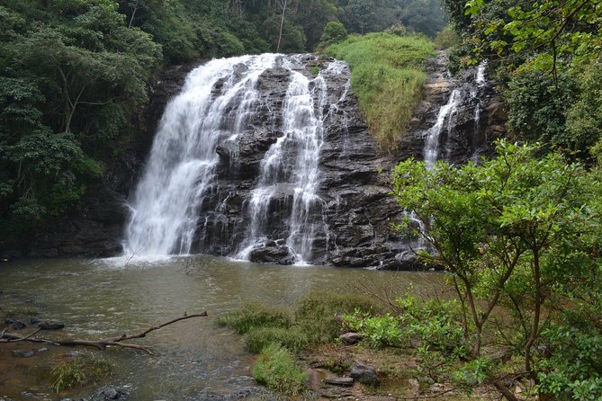 Wayanad Wildlife Heaven From Bangalore - Accommodation and Meals