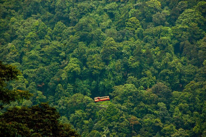 Wayanad Wildlife Heaven From Bangalore - Sum Up