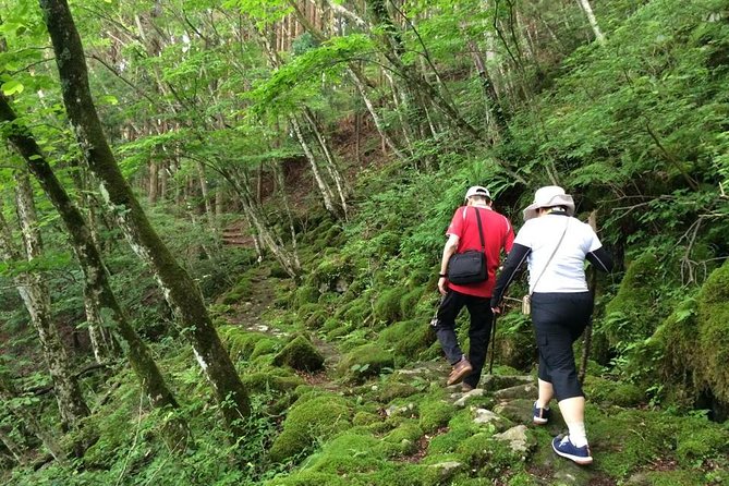 WE LOVE SHINRIN-YOKU Tour (1-Day) - Experiencing Local Cuisine