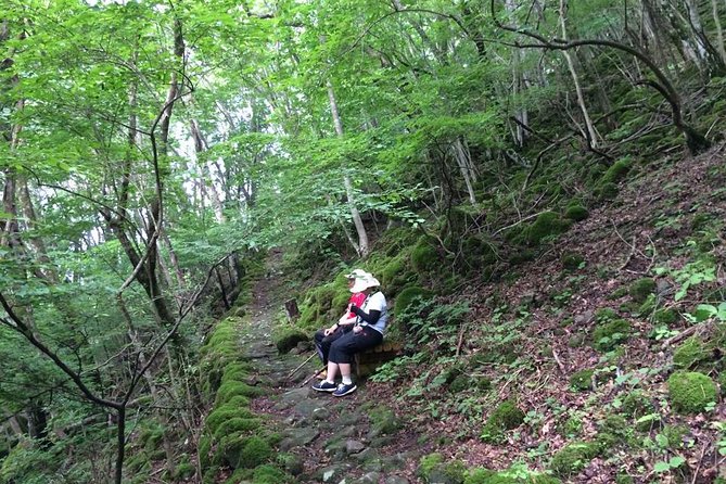 WE LOVE SHINRIN-YOKU Tour (1-Day) - Tour Duration and Ending