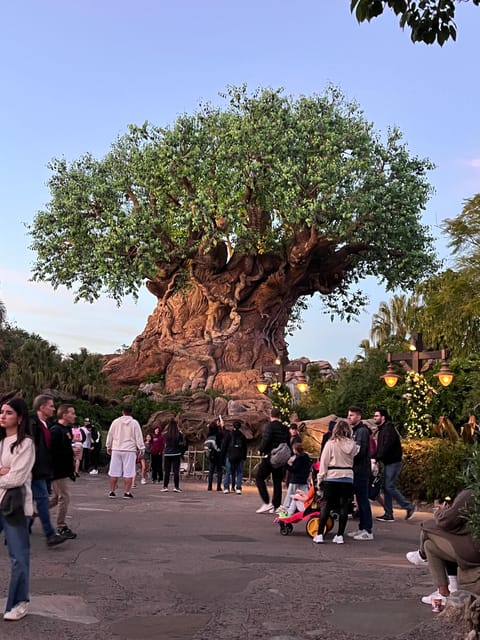 We Will Plan Highlights of Orlando, Florida - Outdoor Adventures and Ecotourism