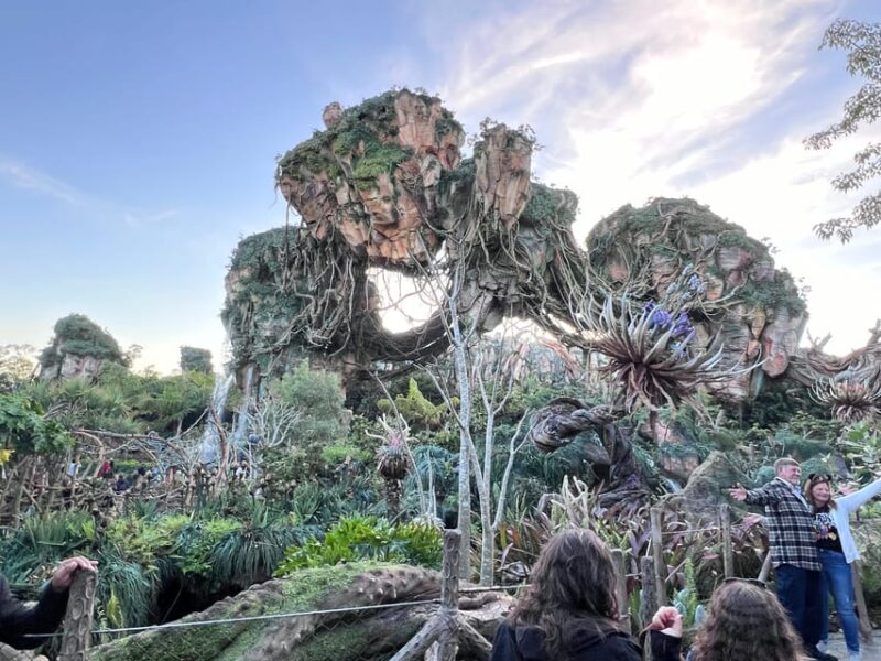 We Will Plan Highlights of Orlando, Florida - Dining and Culinary Experiences