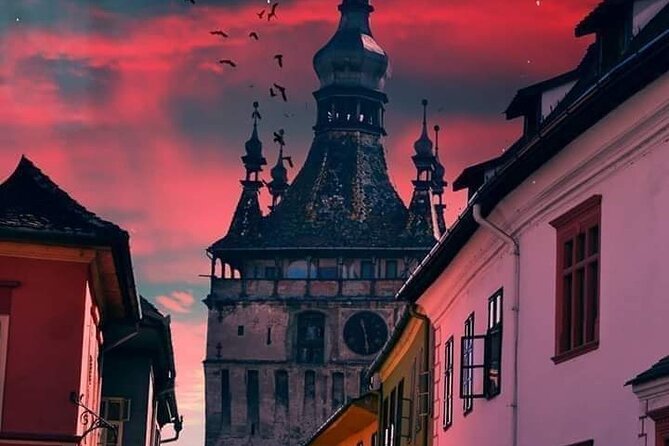 WEDNESDAY and DRACULA Themed Private 5-Day Tour in Romania With Airport Pickup - Transportation and Pickup