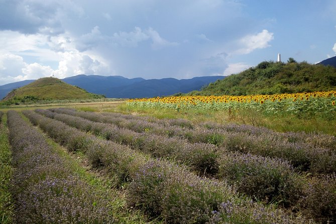 Weekend in Bulgaria - Explore Damascena Complex