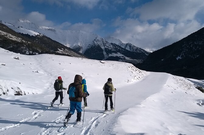 Weekend Snowshoes in Vall D Arán Pyrenees - Overview of the Activity