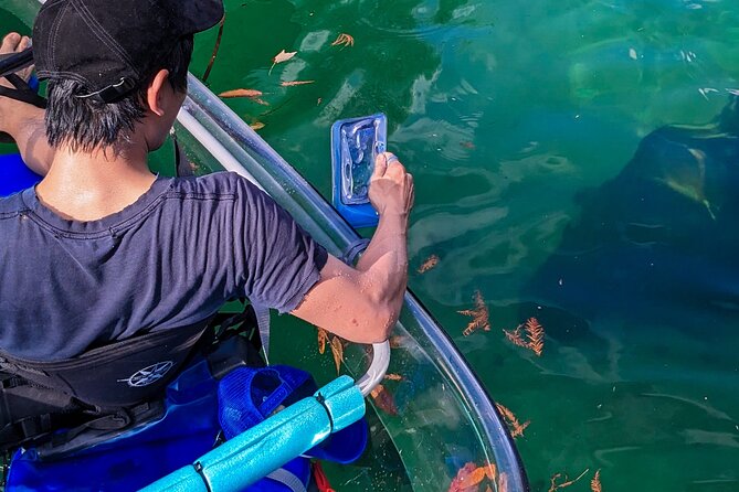 Weeki Wachee Clear Kayak Ecotours Manatee Season - November 14th-March 31st - Tour Inclusions and Pricing