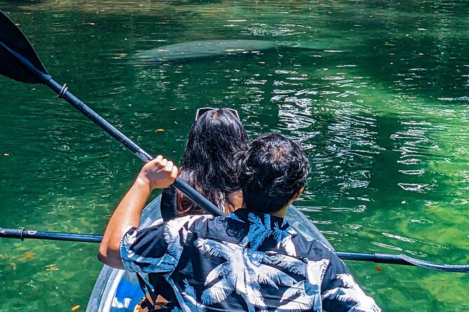 Weeki Wachee Clear Kayak Ecotours Manatee Season - November 14th-March 31st - Customer Feedback and Concerns