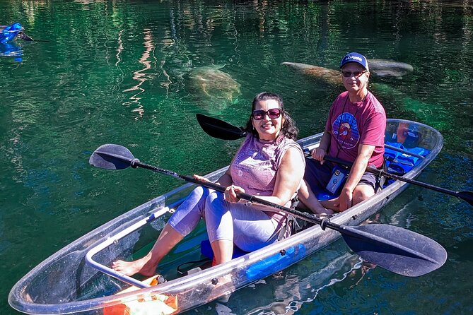 Weeki Wachee Clear Kayak Ecotours Manatee Season - November 14th-March 31st - Exploring the Weeki Wachee River Ecosystem