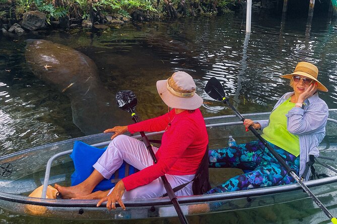 Weeki Wachee Clear Kayak Ecotours Manatee Season - November 14th-March 31st - Preparing for Your Clear Kayak Adventure