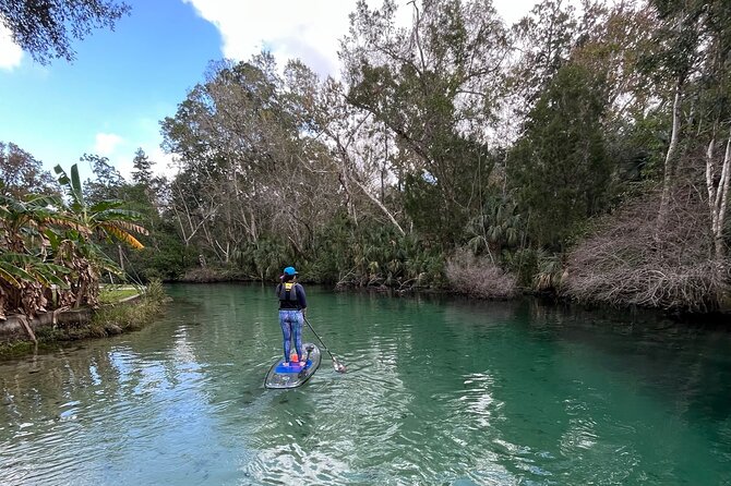 Weeki Wachee Clear Paddle Board Ecotours - Pricing and Reviews