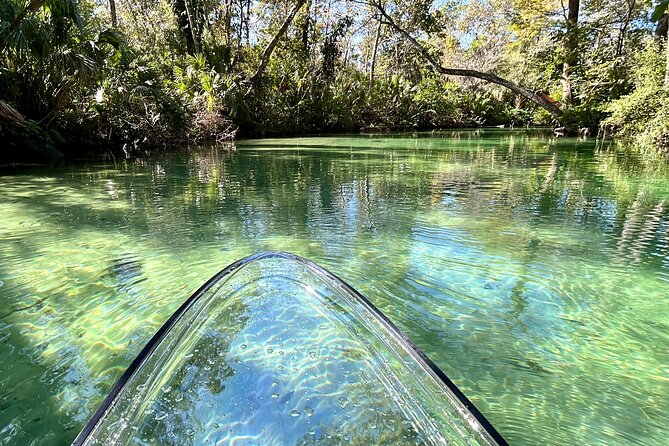 Weeki Wachee Clear Paddle Board Ecotours - Tour Inclusions and Recommendations