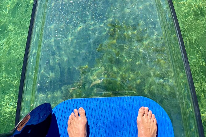 Weeki Wachee Clear Paddle Board Ecotours - Group Size and Meeting Point