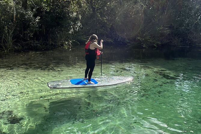 Weeki Wachee Clear Paddle Board Ecotours - Arrival and End Point Information