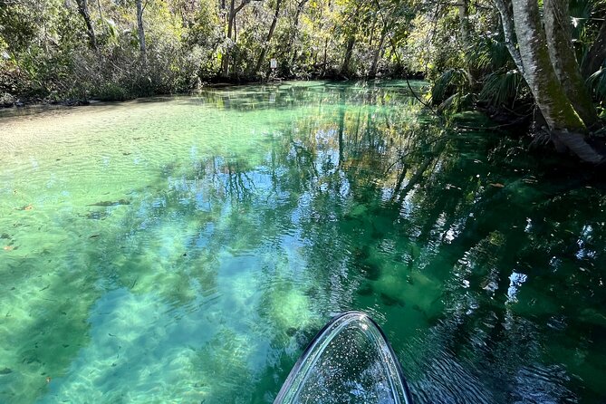 Weeki Wachee Clear Paddle Board Ecotours - Health and Safety Guidelines