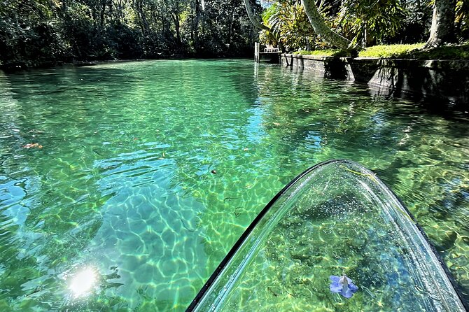 Weeki Wachee Clear Paddle Board Ecotours - Booking and Cancellation Policy