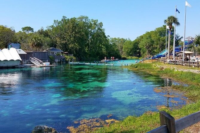 Weeki Wachee Kayaking - Traveler Reviews and Experiences