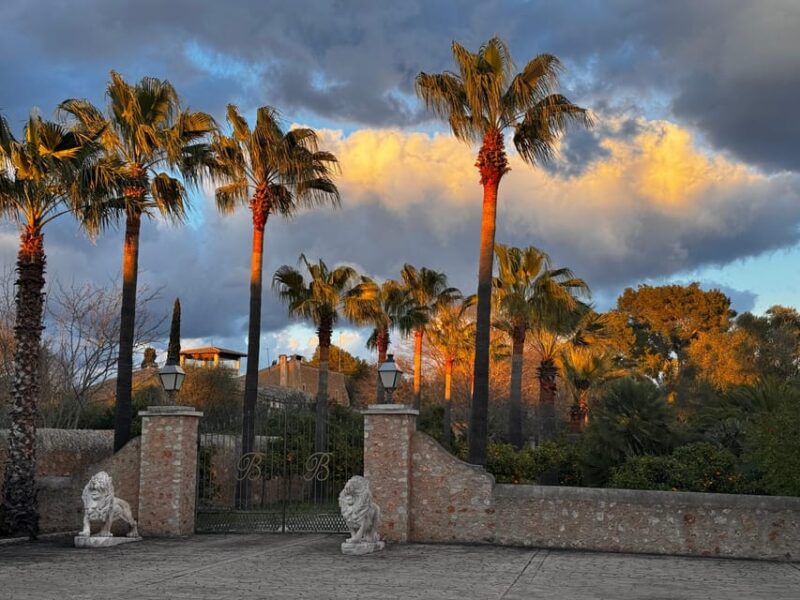 Weinsonntag on Mallorca - Key Points