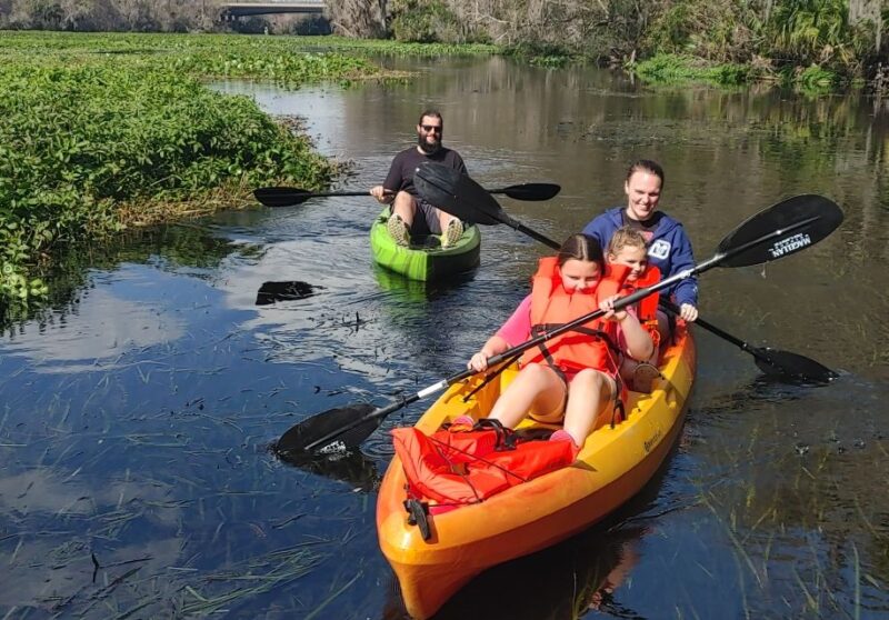 Wekiva Wildlife Kayaking Adventure Tour - Experience Details