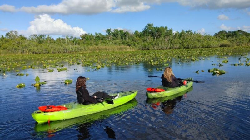 Wekiva Wildlife Kayaking Adventure Tour - Guided Tour Highlights