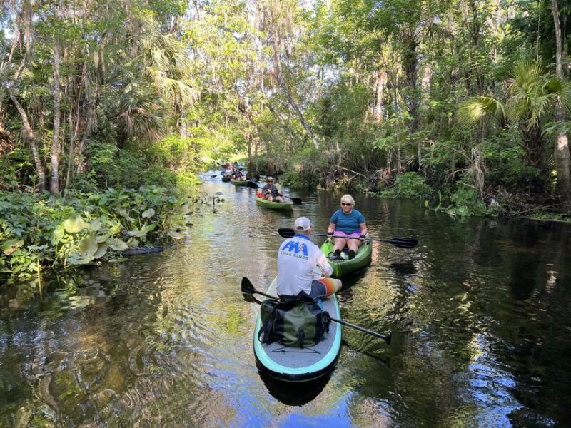 Wekiva Wildlife Kayaking Adventure Tour - Wildlife Sightings Potential