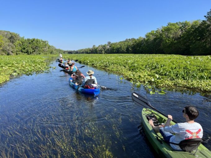 Wekiva Wildlife Kayaking Adventure Tour - Frequently Asked Questions