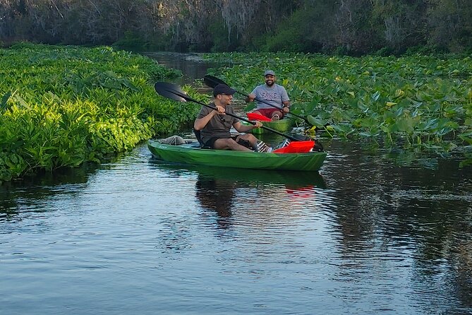 Wekiva Wildlife Kayaking Adventure Tour - Exploring Wekiva River