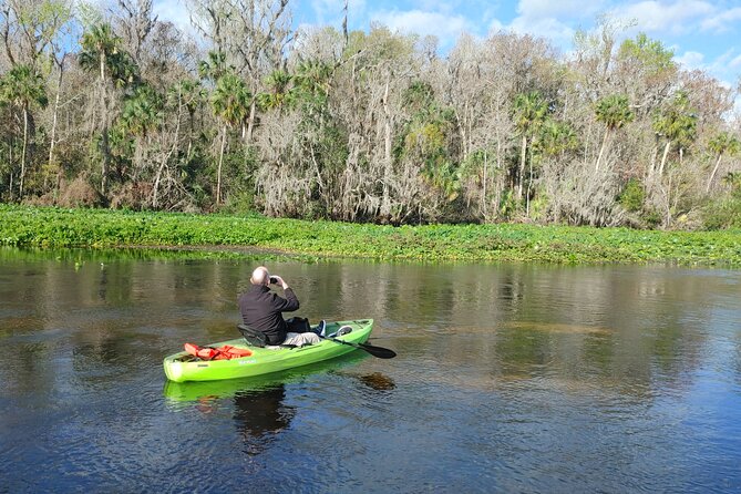 Wekiva Wildlife Kayaking Adventure Tour - Wildlife Sightings
