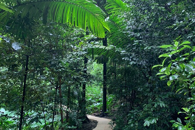 Welchman Hall Gully, Hunte's Garden and Peg Farm Family Day - Exploring Welchman Hall Gully