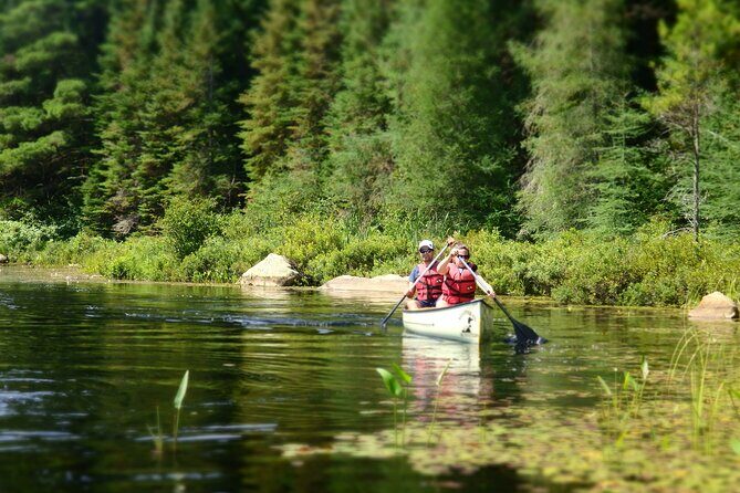 Welcome To Camping At Algonquin Park (2 Day) - FAQs