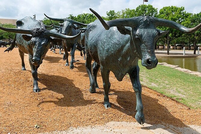 Welcome to Dallas: Private Half-Day Walking Tour - Discovering Dallass Hidden Gems