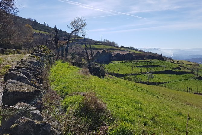 Welcome to Minho - Indulging in Minhos Renowned Vinho Verde