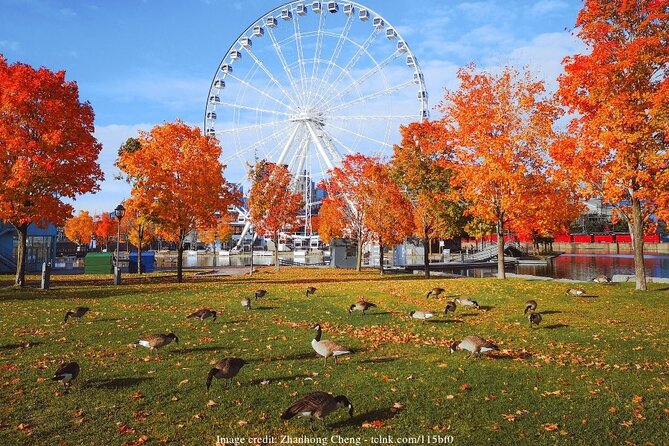 Welcome to Montreal's Old Town: Private 2-hour Walking Tour - Tour Exclusions
